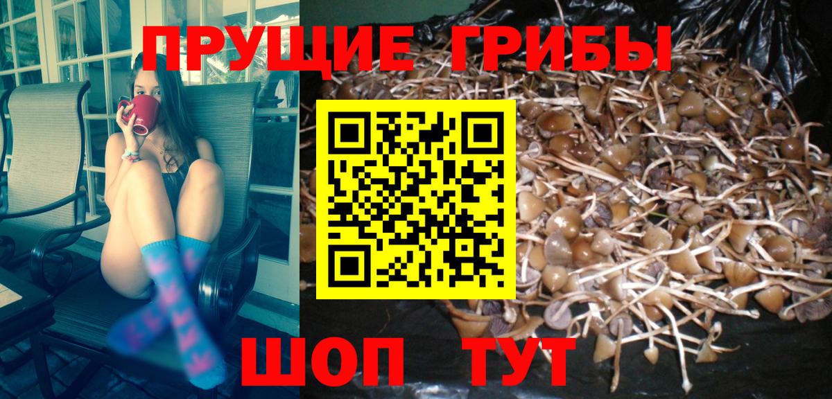 Псилоцибиновые грибы MAGIC MUSHROOMS  Вход с VPN  Октябрьский 