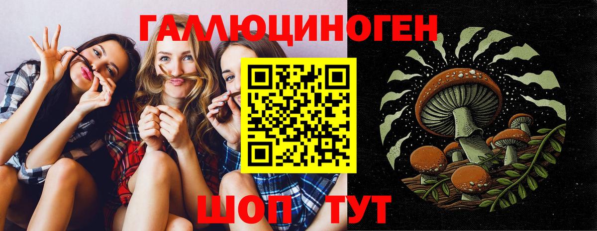 Псилоцибиновые грибы Cubensis Октябрьский